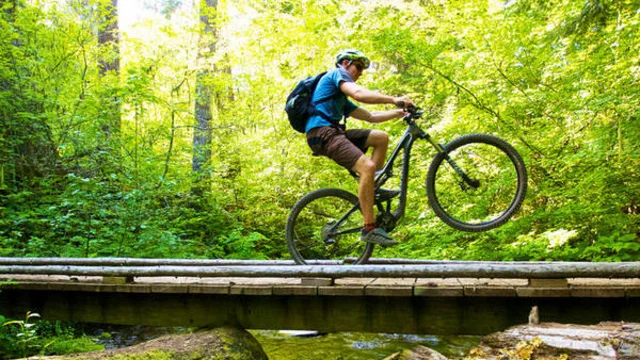 Mountain biker on a wooden bridge in the forest